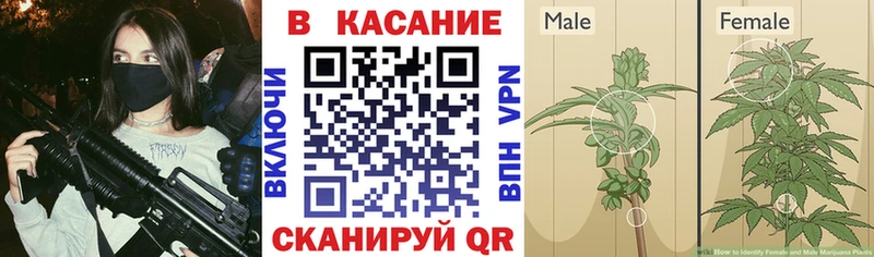 Где купить Шиханы СОЛЬ Меф