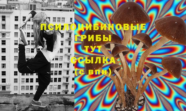 молекула духа Лиски