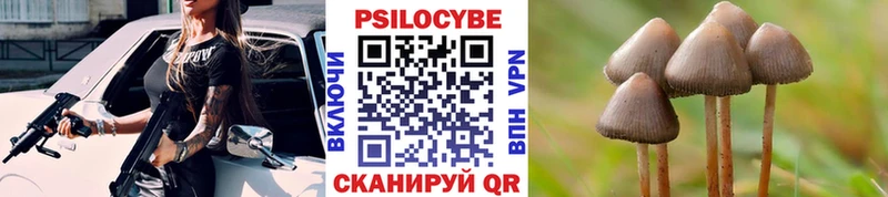 Псилоцибиновые грибы GOLDEN TEACHER Шиханы